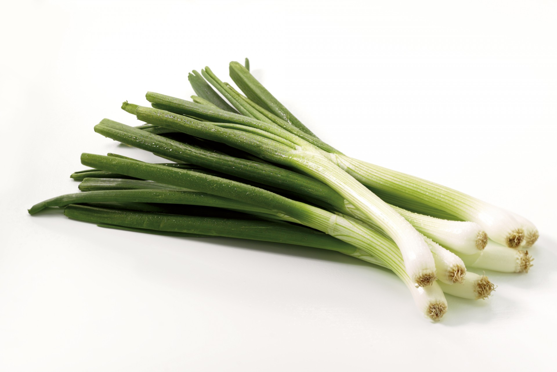 Bulk Buy Spring Onions Wholesale KFF